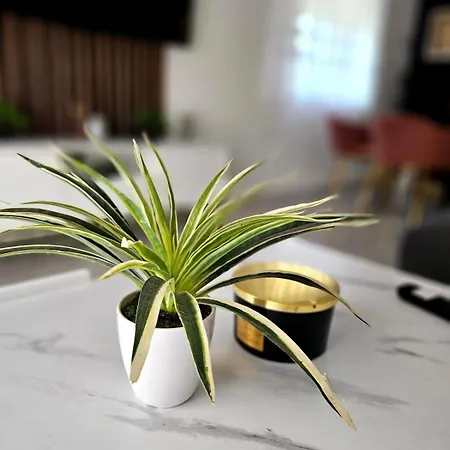 Three Bedroom Daire Zadar