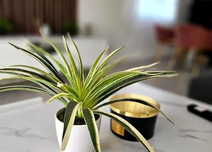 Three Bedroom Διαμέρισμα Ζαντάρ